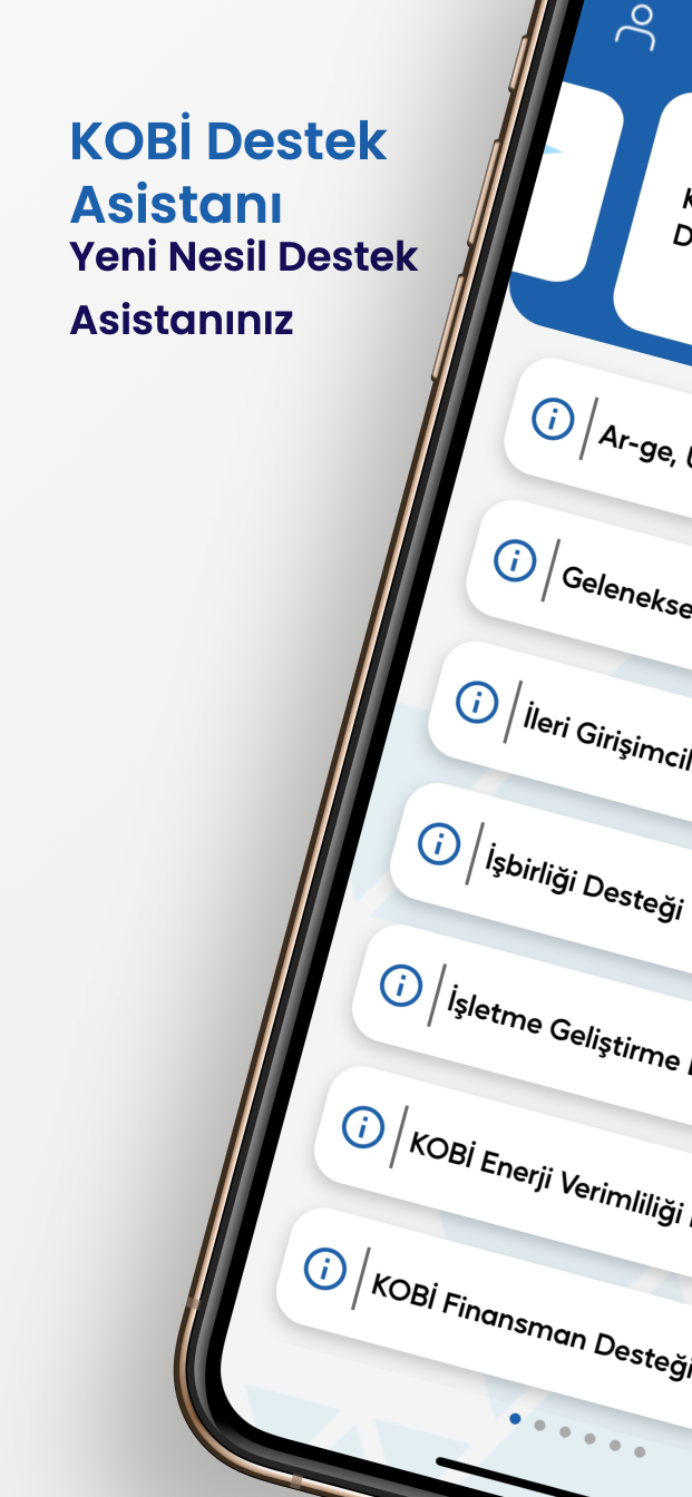 KOBİ Destek Asistanı