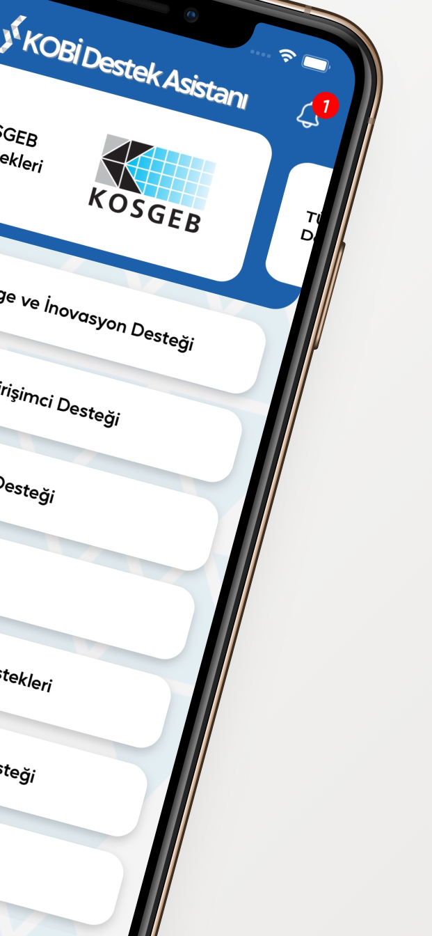 KOBİ Destek Asistanı