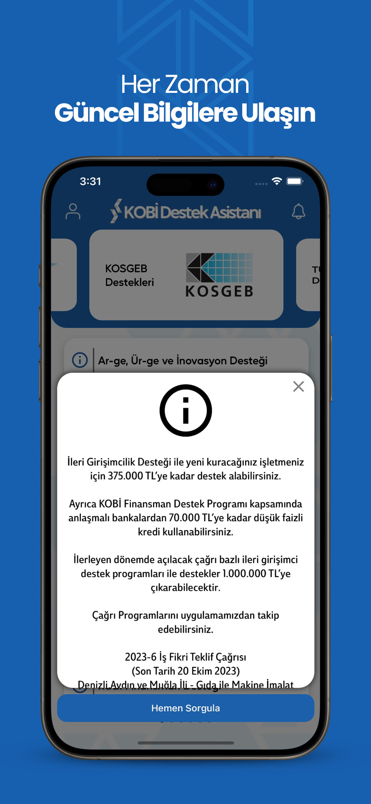 KOBİ Destek Asistanı